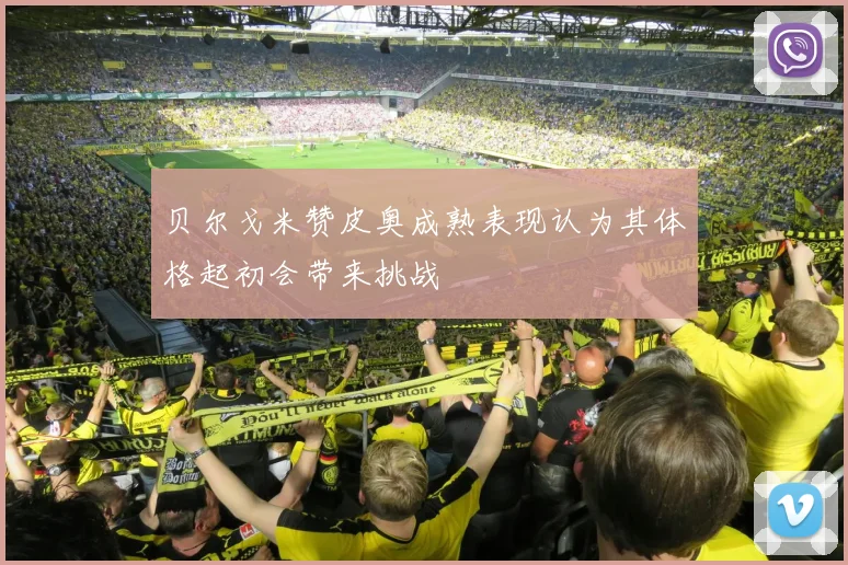 贝尔戈米赞皮奥成熟表现认为其体格起初会带来挑战